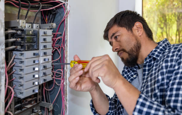 Best Electric Panel Repair  in St Louis Park, MN